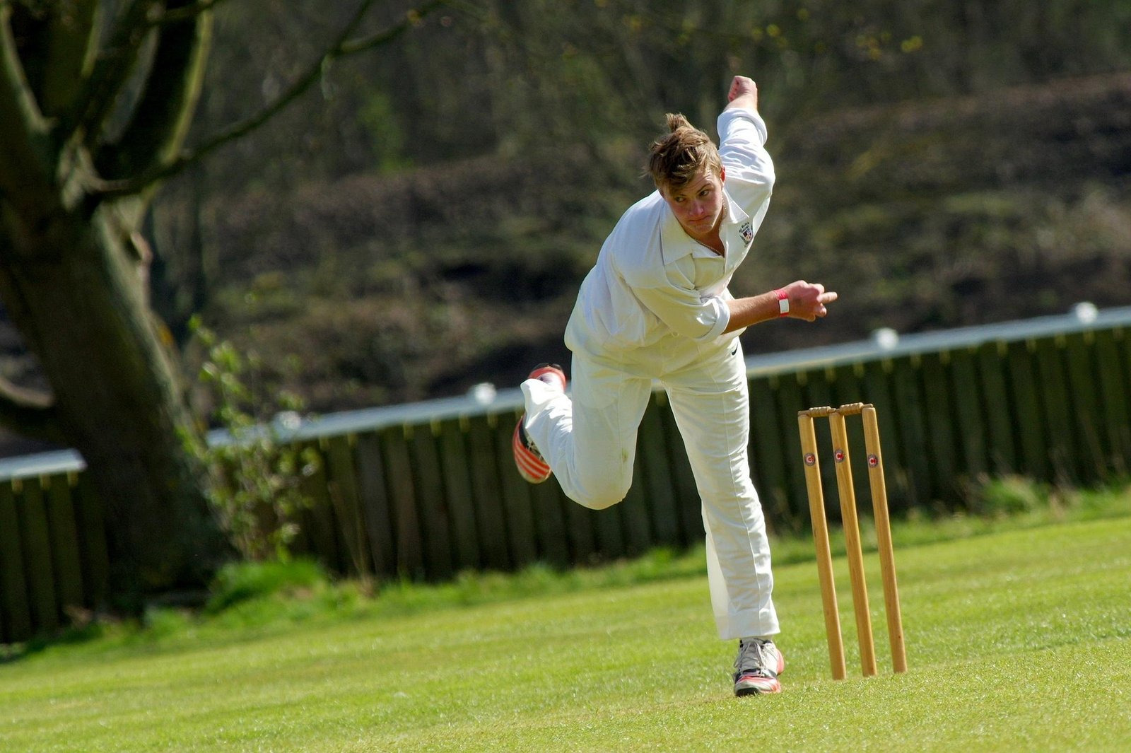 shents-cricket-724614_1920